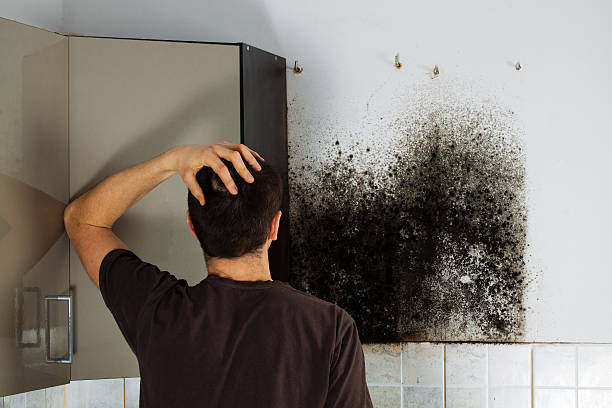 Best Toxic Mold Removal  in Yarrow Point, WA